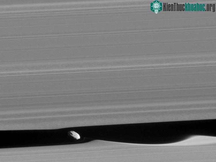 Tàu Cassini phát hiện mặt trăng Daphnis của sao Thổ. (Ảnh: NASA).