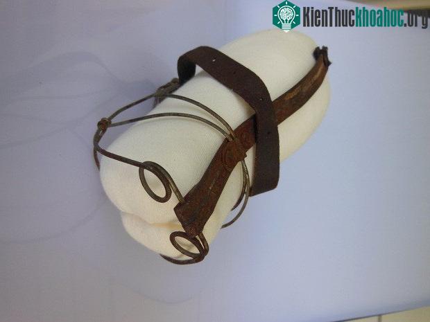 Hình ảnh khác của chiếc rọ mõm chó. Chúng đã được đóng khung và xuất hiện trong triển lãm của "thú cưng ở Mỹ".