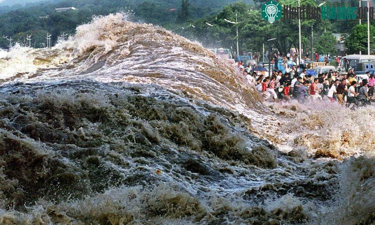 Sóng triều mang theo sức mạnh lớn khi xô vào bờ. (Ảnh: Weibo).