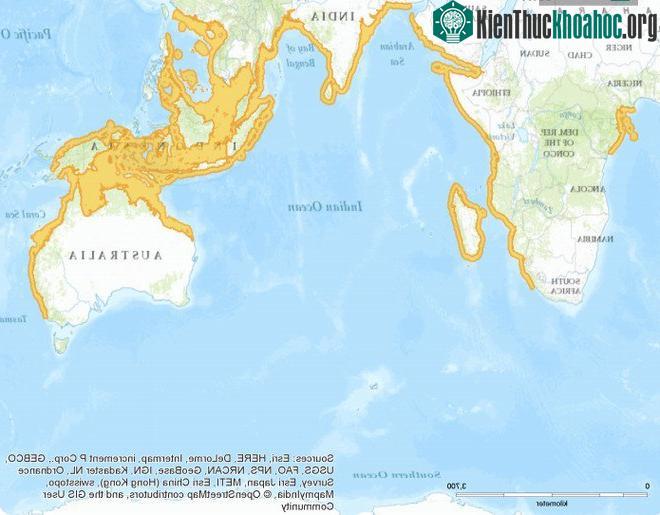 Phạm vi phân bố của loài Cá mập mắt lợn (màu vàng). (Nguồn: Esri/IUCN).