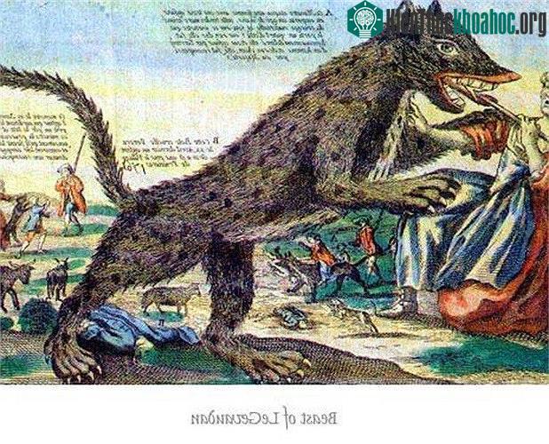 Hình ảnh quái thú vùng Gévaudan nhảy ra từ bụi cây và đứng bằng 2 chân. (Ảnh minh họa).