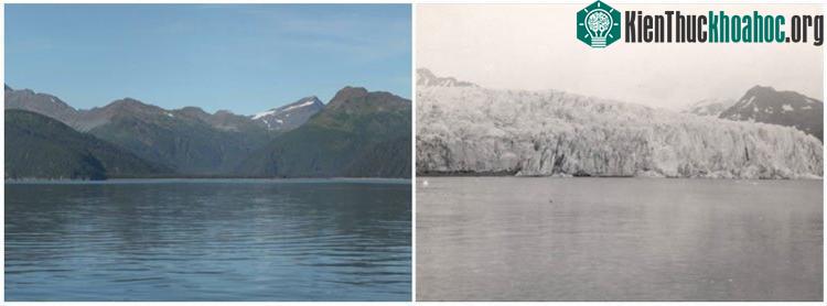 Sông băng McCarty Glacier, Alaska