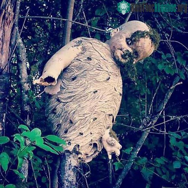 Những tấm ảnh này cho bạn thấy thiên nhiên chưa bao giờ đáng sợ đến như vậy ảnh 3