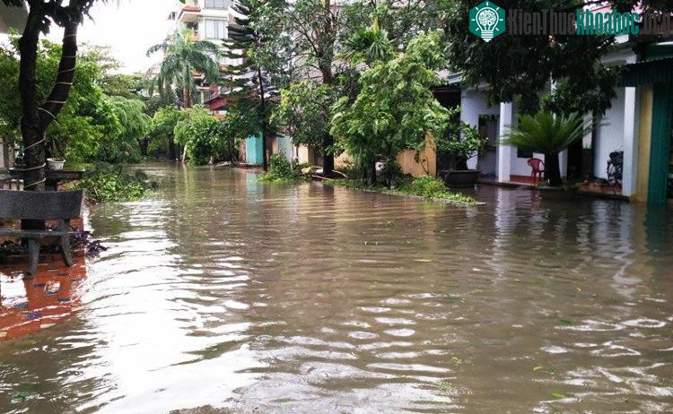 Bão, lũ lụt gây thiệt hại nặng nề về người và của. (Ảnh: Internet).