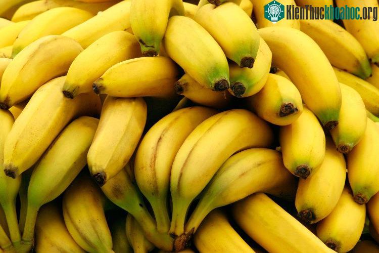 Chế độ ăn chuối từ vài năm trước là một trong số những ví dụ về xu hướng ăn kiêng của người Nhật.