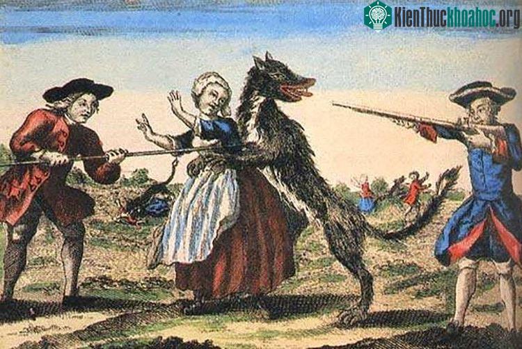 Có giả thiết đưa ra, chúng là loài được lai giữa sói và chó nhà.