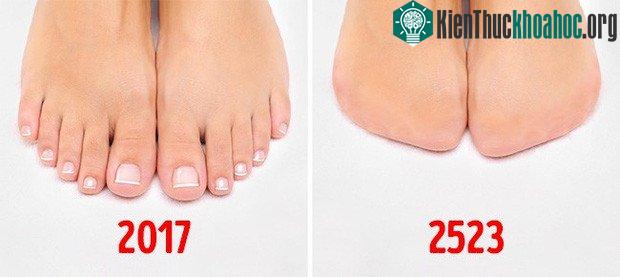 Rất nhiều bộ phận cơ thể chúng ta sẽ "tiêu tan" trong tương lai, và đó là... ảnh 4
