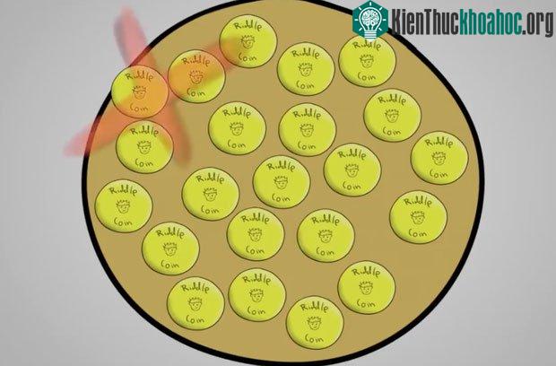 2 câu đố chứng minh đầu óc của bạn nhanh nhạy hơn 80% dân số ảnh 4