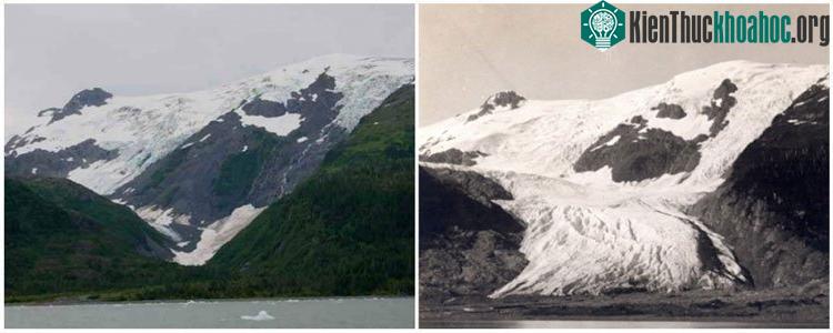 Sông băng Toboggan Glacier, Alaska