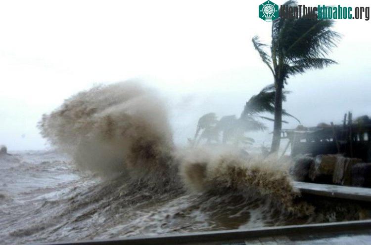 Sức tàn phá khủng khiếp của bão Conson.