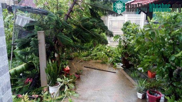 Sức gió cực lớn.
