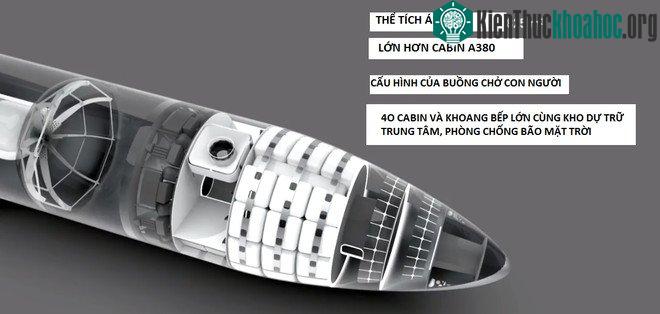 Cấu tạo phần đầu BFR