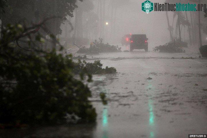 Cành cây rơi vãi do gió lốc trên đường phố Miami vào ngày 10/9