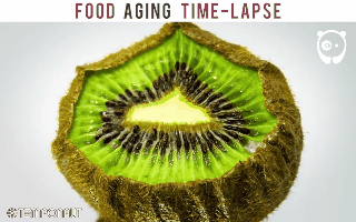 Quá trình quả kiwi bị mốc