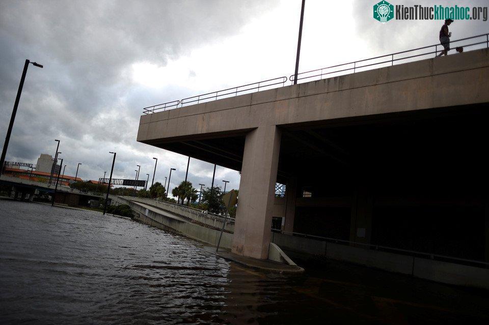 Nước ngập mênh mang trên diện rộng ở Florida.