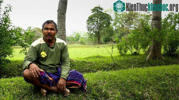 Người đàn ông trồng cây suốt 40 năm và kết quả bất ngờ đến không tưởng ảnh 5