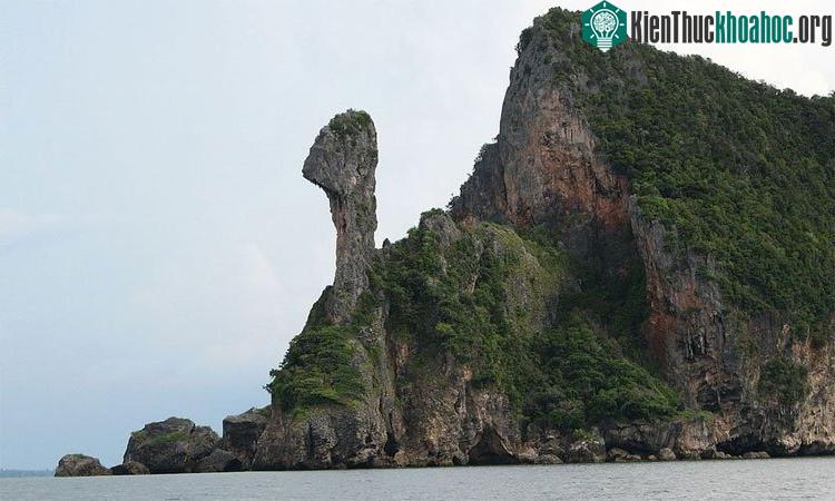 Đảo Gà (Krabi, Thái Lan)