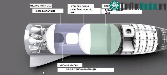 Cấu tạo phần thân BFR