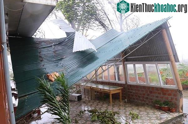 Các mái tôn bị gió giật sập.