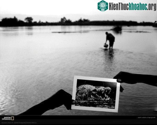 Cận cảnh quái thú Gustave tàn sát 300 người vùng sông Nile ảnh 7