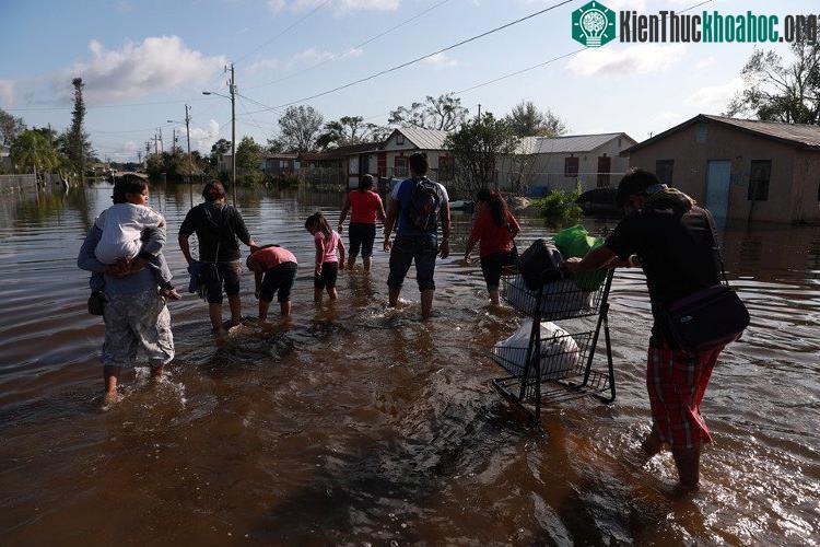 Jacksonville và Florida Keys là 2 khu vực bị tàn phá nghiêm trọng nhất
