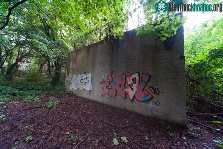 Dù có lệnh cấm, một số người vẫn lén lên đảo, bằng chứng là bức vẽ graffiti trên tường sân bóng này.