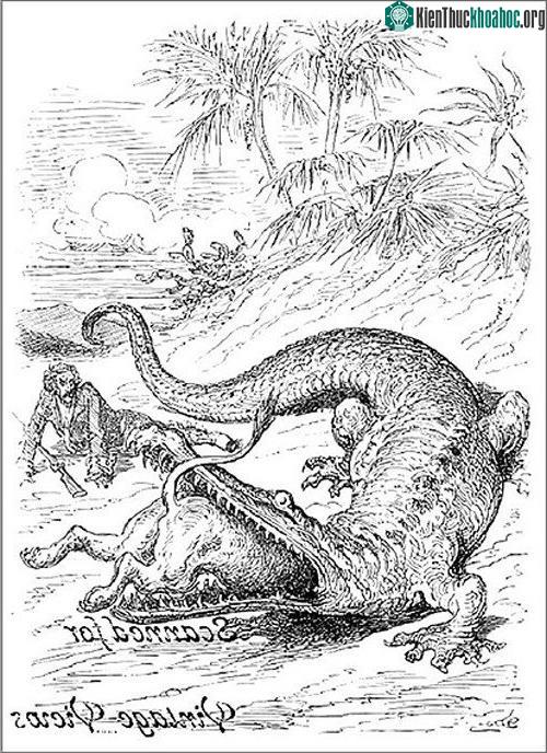 Cận cảnh quái thú Gustave tàn sát 300 người vùng sông Nile ảnh 8