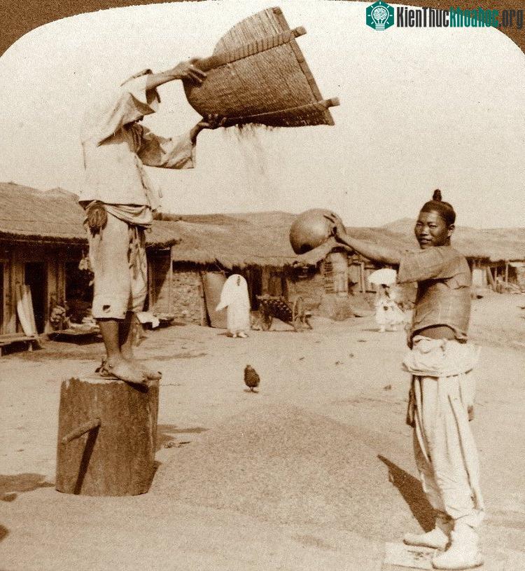 Hai người đàn ông làm việc ở Incheon năm 1903. Họ đang tìm cách tách vỏ trấu.