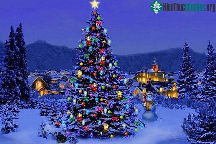 Tại Đức, cây Giáng sinh đầu tiên được trang trí với đồ ăn, như bánh gừng và táo. Họ cũng treo lên đó những bông hồng bằng giấy. (Ảnh: HappyHolidays).