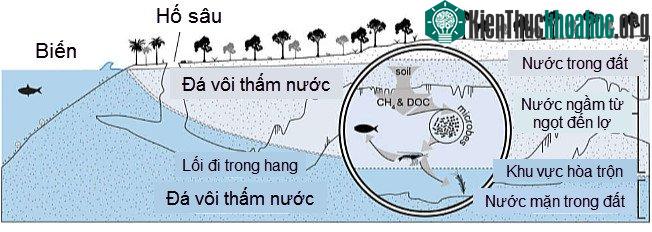 Sơ đồ hệ thống hang ngầm. (Việt hóa: Cẩm Mai).
