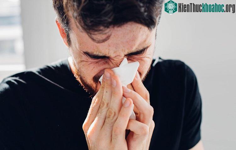 Nhịn hắt hơi có thể gây hại cho cơ thể. (Ảnh: MH).