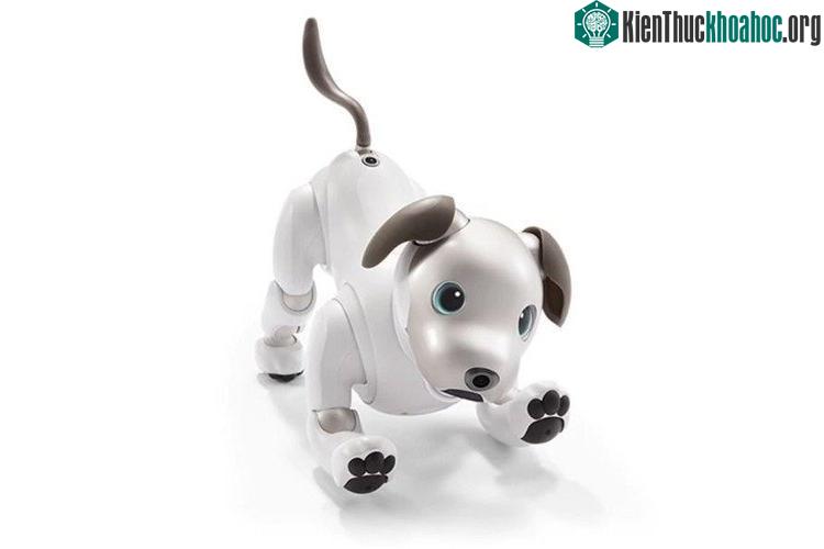 Cún con robot dành cho những người yêu thích thú cưng. (Ảnh: Sony).