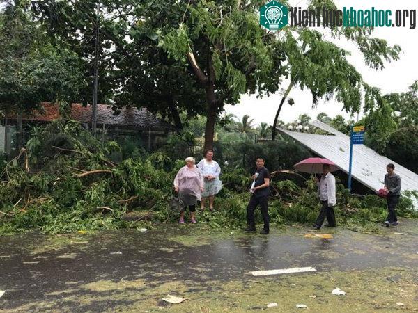 Người dân thất thần trước những thiệt hại do cơn bão dữ gây ra