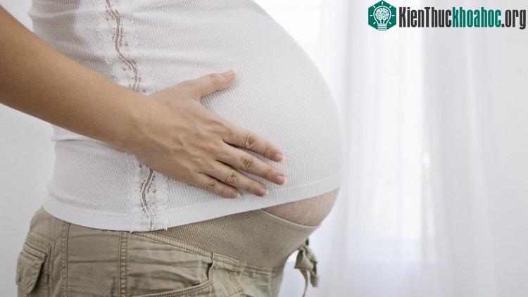 Không có lý do khoa học nào mà ngăn cản sự thành công của một cuộc cấy ghép tử cung vào một người phụ nữ chuyển giới. (Ảnh minh họa).
