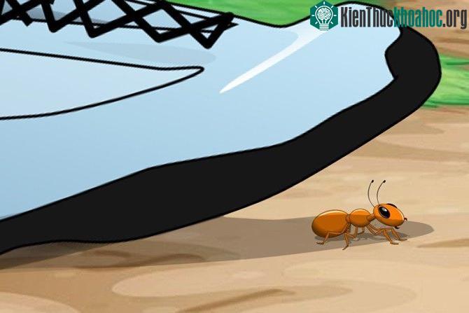 Đã bao giờ bạn nghĩ đến chuyện gì xảy ra mỗi khi mình thực hiện một bước đi trên mặt đất?