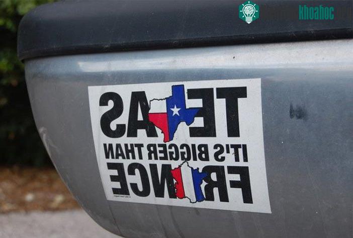 Texas có diện tích lớn hơn nước Pháp.