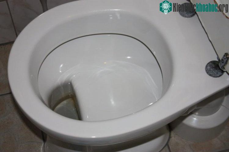 Một chiếc bồn cầu phổ biến ở Đức.