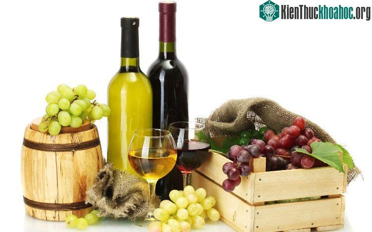 Việc uống rượu làm từ nho đã xuất hiện từ thời kỳ đồ đá mới.