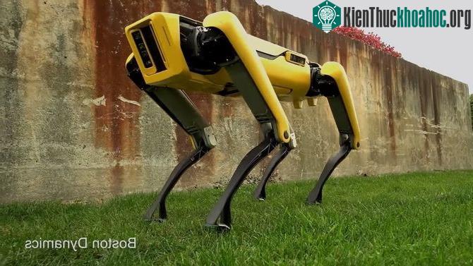 Robot SpotMini.