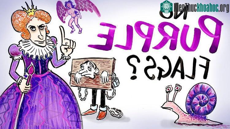Màu tím là biểu tượng của sự giàu sang, quyền quý và danh giá.