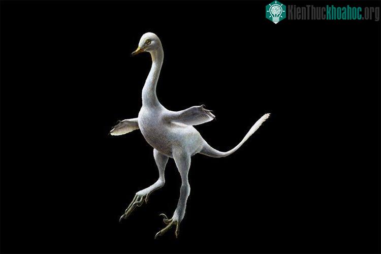 Ảnh phục dựng của con khủng long sở hữu thân hình thiên nga, mỏ vịt, răng cá sấu, chân đà điểu và những móng tay sát thủ - (Ảnh: AP)