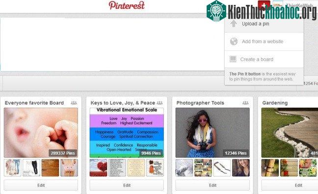 Pin of pinterest
