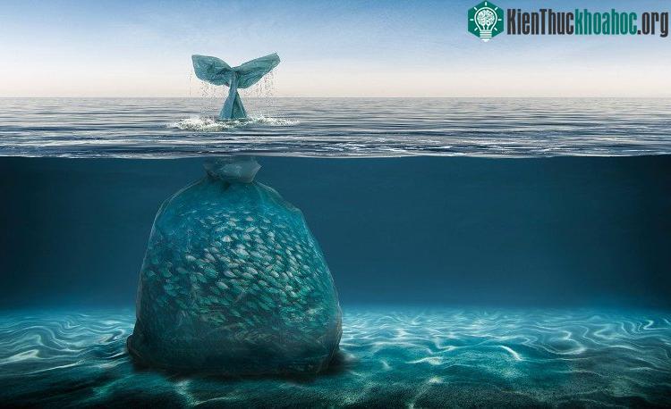 Các loại rác thải nhỏ mà con người thải ra ở đại dương sẽ bị sóng đánh ra xa rồi lâu ngày chìm xuống đáy biển. (Ảnh minh họa).