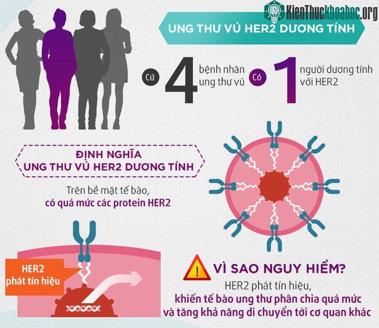 Cứ 4 bệnh nhân ung thư vú thì sẽ có 1 bệnh nhân dương tính với HER2.