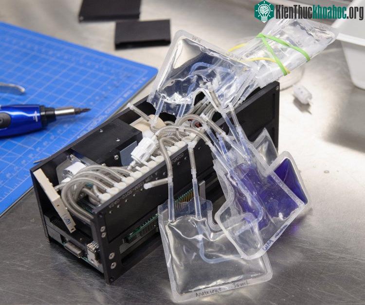 Module tự động trong EcAMSat.