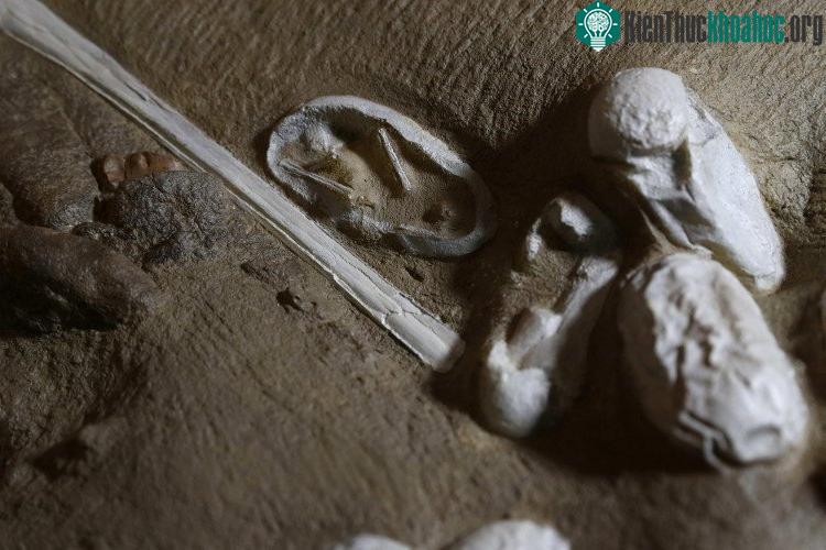 Các nhà khoa học phát hiện nhiều hóa thạch trứng ở Trung Quốc. (Ảnh: Marcelo Sayao).