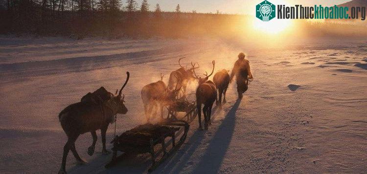 Mọi thứ đều có thể đóng băng tại Oymyakon.