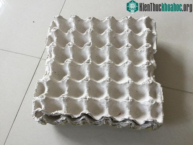 Khay giấy đựng trứng