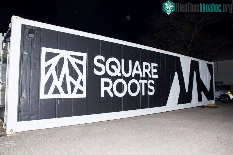 Square Roots