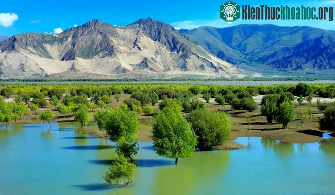 Thung lũng sông Yarlung Tsangpo. (Ảnh: Alamy Stock).